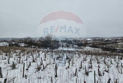 Teren intravilan 7000 mp Simnic, Izvor - 2