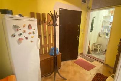 Apart la casa Bogdanestilor  curte  acces cu masina centrala proprie - 12