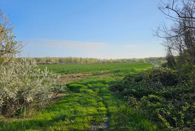 10.100mp TEREN CONSTRUCȚII INTRAVILAN POTIGRAFU, DESCHIDERE 31m direct la DN1 - 1