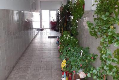 ID 3475 - Casa batraneasca+Spaiu Comercial zona Chercea, - 3