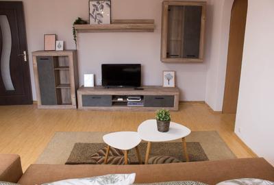 Apartament 2 camere, Girocului-Lidia, proprietar, toate dotările, contract - 9