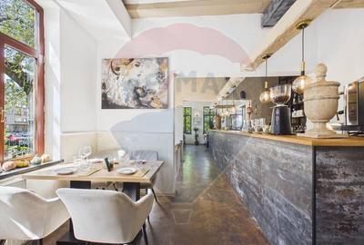 Afacere de vanzare, restaurant Gradina Icoanei - 6