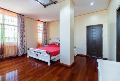 Locuință spectaculoasă cu potențial de business – 730 mp, sector 2 - 9