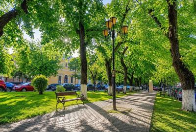 Casa cu doua cai de acces, 5 camere, 4 bai, garaj, langa Cetatea Medievala Targu - 4