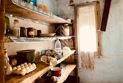 Casa cu potential amenajare pescarie- Zona Varfurile - 24