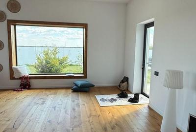 Moara Vlasiei / Caciulati, finisaje premium, 4 camerere, teren 550 mp - 4