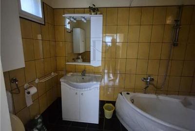 CALEA BUZIAS, 2 CASE INDIVIDUALE CU TEREN GENEROS - 7