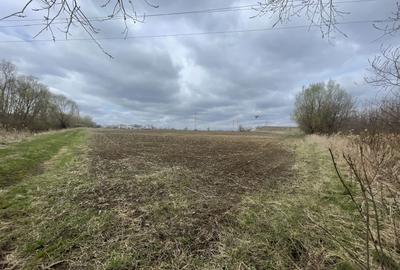 TEREN INTRAVILAN | 50 ARI | ZONA PERIFERICA RADAUTI - 8
