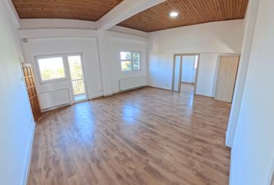 Casă individuală cu 12 camere în Cățelu