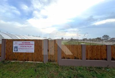 Teren intravilan, Curcubeu, Balta Doamnei, liber, imprejmuit - 1