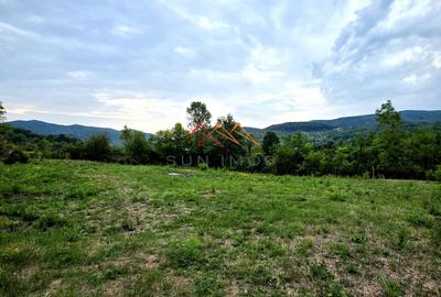 Teren Intravilan, utilitati in zona, 2600 mp, Draganeasa, Prahova - 5
