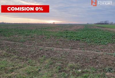 COMISION 0% Teren extravilan agricol 10.000 mp la sosea in Sag - 5