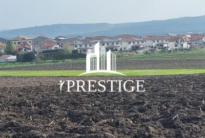 TEREN DE VÂNZARE ȘURA MICĂ 10.000 MP | 2 FRONTURI STRADALE, INVESTIȚIE - 13