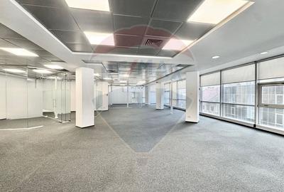 Spații birouri de închiriat Piata Victoriei | Spații 110–296mp - 1