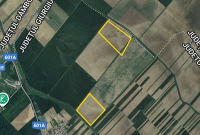 Teren extravilan 16,3 ha | Cosoba, Giurgiu | fotovoltaice - 1