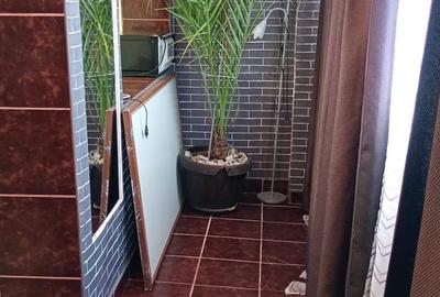 Apartament cu 2 camere, DECOMANDAT,  etajul 7/10, zona Tatarasi - 4
