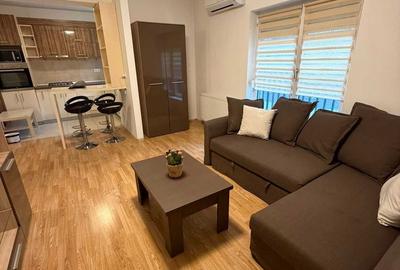 Inchiriere Apartament 3 Camere Titan Pet Friendly - 1