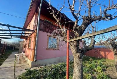 Casa P+1 in Merei/BZ ~ teren 3220mp ~ 7 camere ~ constructie 1993 - 5