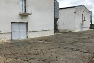 Hala | Spatiu depozitare, productie de inchiriat | Les, Bihor - 5