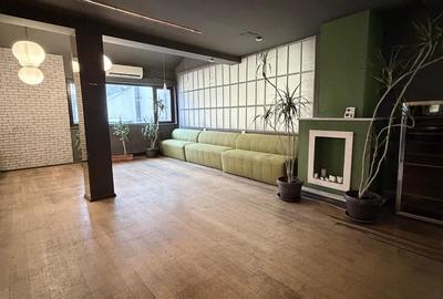 Zona Balcescu Maria Rosetti sp 310 mp P+E1+Terasa - 2