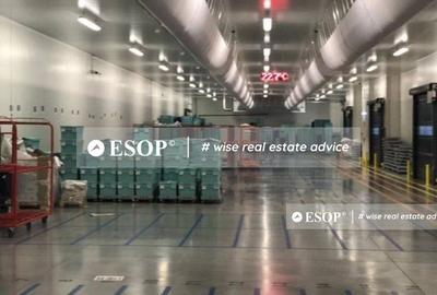 WDP Industrial Park Stefanesti, spatii industriale, 5.000 - 53.000mp - 4