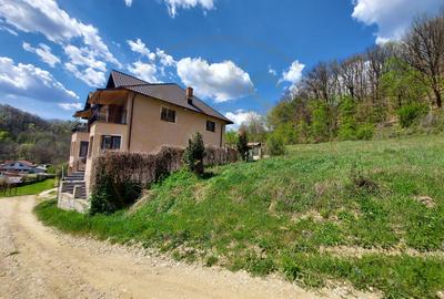 Casa 6 camere langa padure/ 340 mp/ teren de 3 745 mp la 5 min de Pitesti - 13