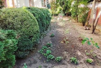 Apartament rustic, deosebit de 98 mp,  cu gradina, in Andrei Muresanu - 19
