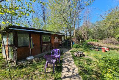 Refugiu privat la Barajul Pucioasa || Proprietate tip domeniu - 6