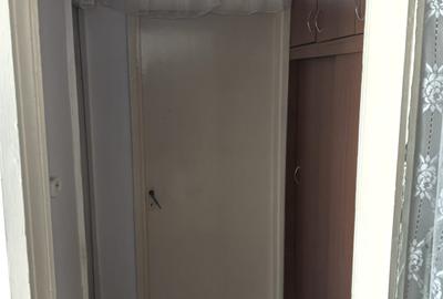 Apartament spatios cu 2 camere-mobilat si utilat- zona Lipovei - 11