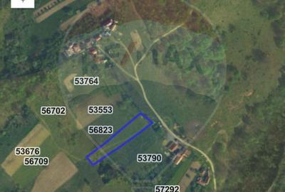 Teren Construcții intravilan de 2723 mp, în Bratca