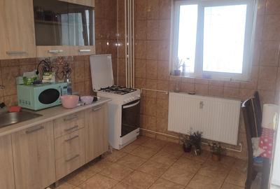 Colentina Teiul Doamnei - 1