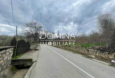 Vanzare teren intravilan - Runcu - oportunitate intr-o zona turistica deosebita - 8