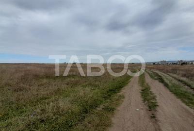 Teren intravilan 2 fronturi de 35 m fiecare 8.000 mp Turnisor Sibiu - 8