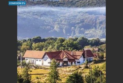 Guesthouse for sale near Mehedinți Mountains - 1