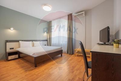 Casă / Vilă cu 16 camere de vânzare Sanmartin/Stefan cel Mare - 10