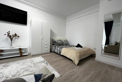 Apartament de inchiriat, o camera, Open space, 35 mp, Lunca Cetatuii - 3