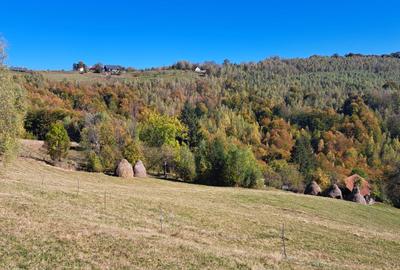 Teren extravilan in localitatea Bulz - 15