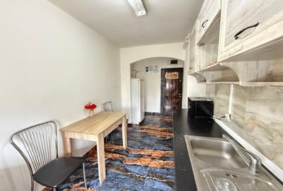 Inchiriere apartament 2 camere, zona Malu Rosu - Ofelia, Ploiesti - 5