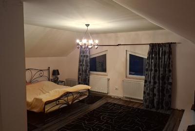 Proprietar vila Câmpulung Muscel str Dracesti 34 colt str Plaiesi - 13