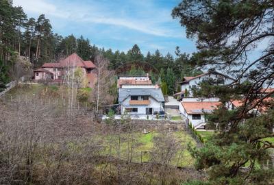 Vila moderna cu vedere spre padure Poiana Angelescu - 57