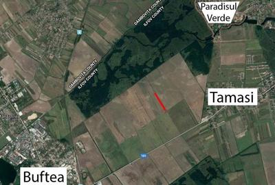 Teren extravilan, 18885,72 mp, Tamasi, Buftea - 1