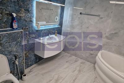 Inchiriere duplex  Premium 5 camere ( Parter+Demisol ) in vila Piata Romana - 7