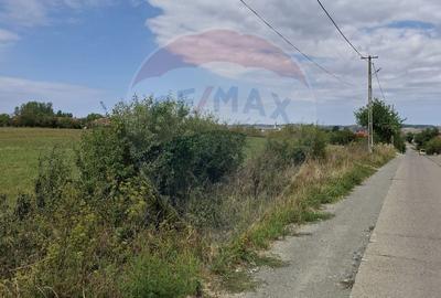 Teren intravilan industrial de vânzare - 9505 mp - Tileagd - 1