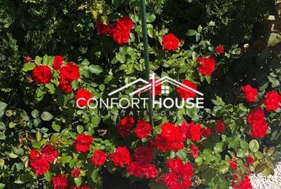 Vila cu arhitectura moderna,  piscina, cartier rezidential, IANCU NICOLAE - 6