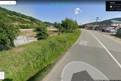 Teren 7.000mp intravilan construibil, front 160ml DN57- Eselnita, la Dunare - 7