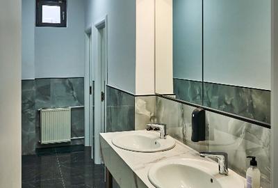 Nova Coworking Stirbei | Ultra Central | 20 Birouri Private | Modern | - 8