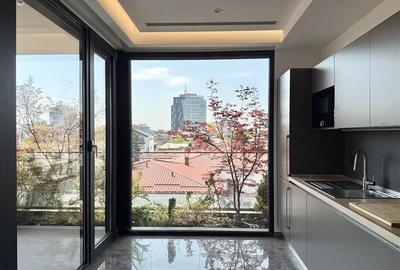 First Rent! Luxury Penthouse  Primaverii  Boutique building - 4