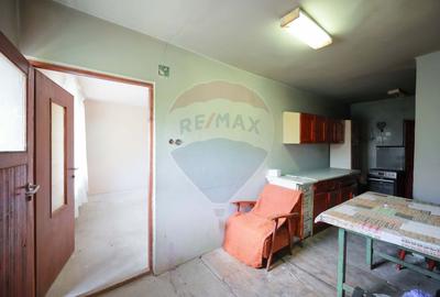 De vânzare casă și teren 1.425 mp - Podgoria - 9