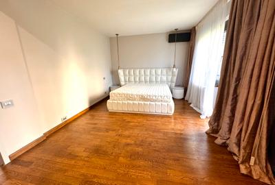 Vila deosebită Erou Iancu Nicolae-Complex residential - 11