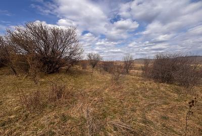 Teren extravilan în suprafață de 3500 mp, situat în zona Sigmir - 2